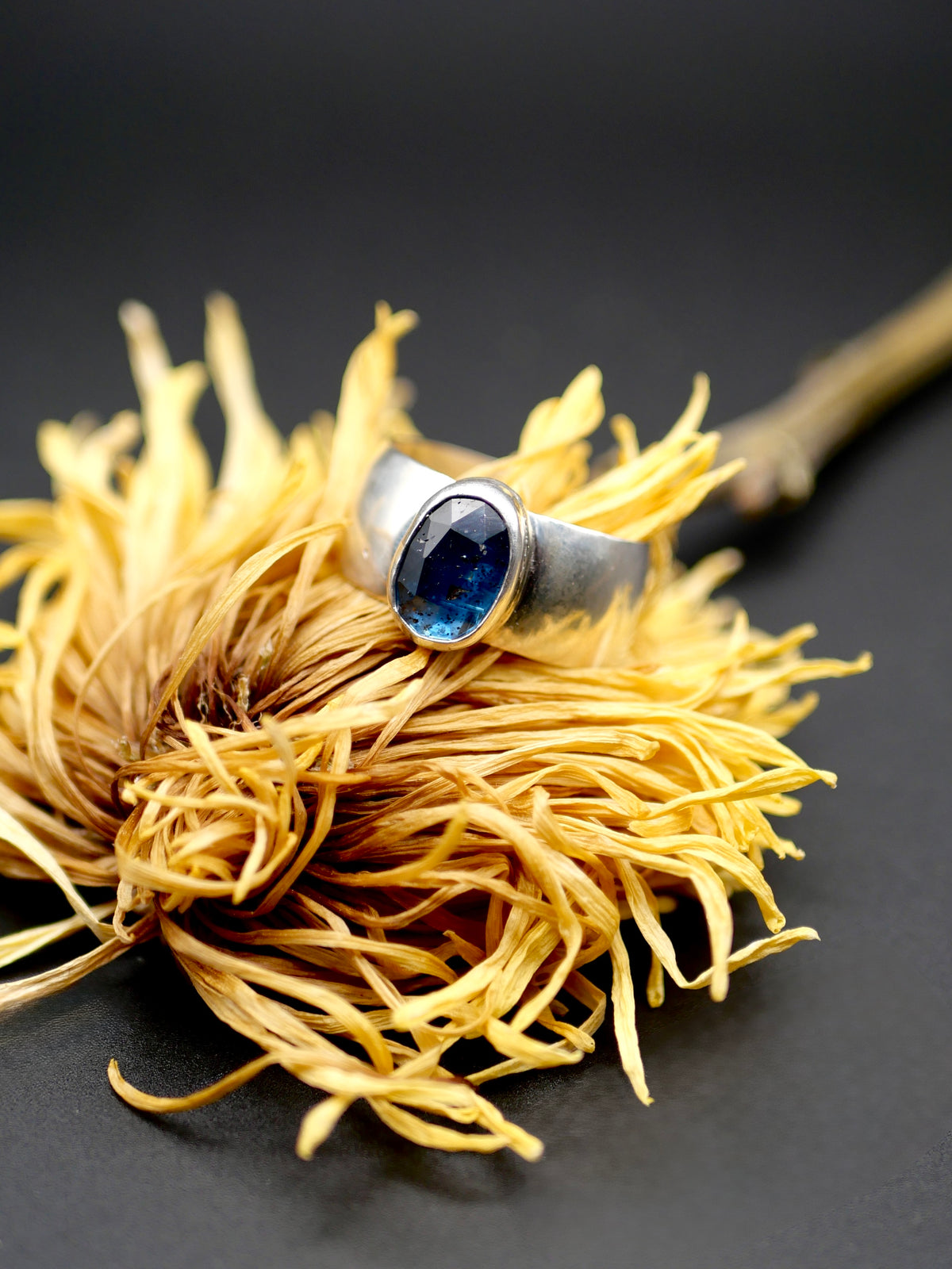 Stone Ring - Size 10.75 - Kyanite with Cigar Band